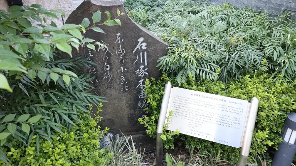 2024年度总结：又是被浪漫主义围绕的一年-004