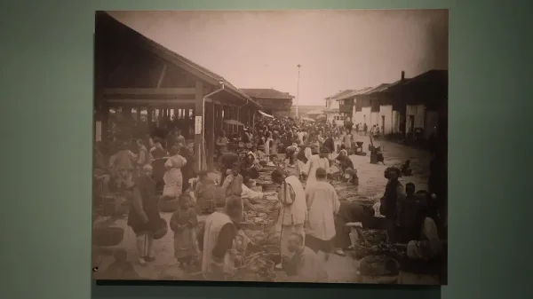 2024年度总结：又是被浪漫主义围绕的一年-005