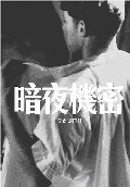 暗夜机密