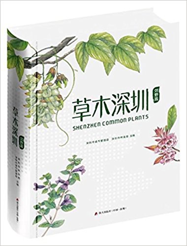 草木深圳
