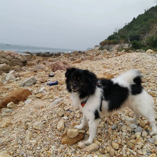 杨梅坑爬山看海