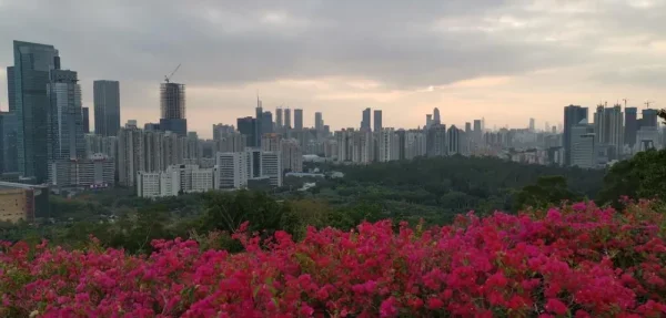 比目看世界