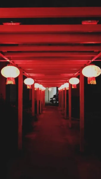 小区晚上的灯笼，深圳少了一多半人