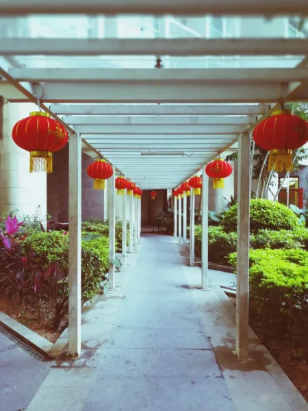 这些灯笼早上的样子