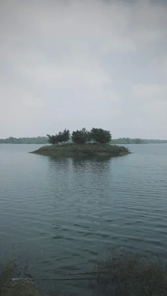 东莞松山湖松湖花海景区，更适合自行车的一段，若不是错走了路