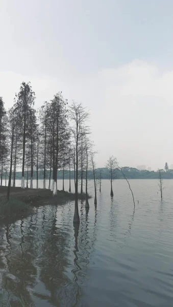 松湖烟雨，没看到烟和雨，在这片逗留很久