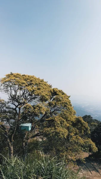 面对没有细节的苍茫，还真是难以取景