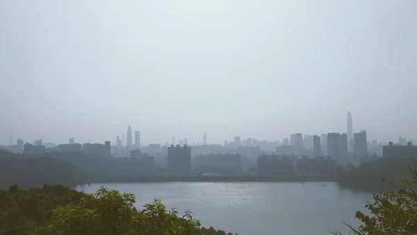 清晨的梅林水库，金色的水波，雾气中的城市森林