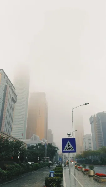 雾气的清晨，不是回南天，是难得的降温