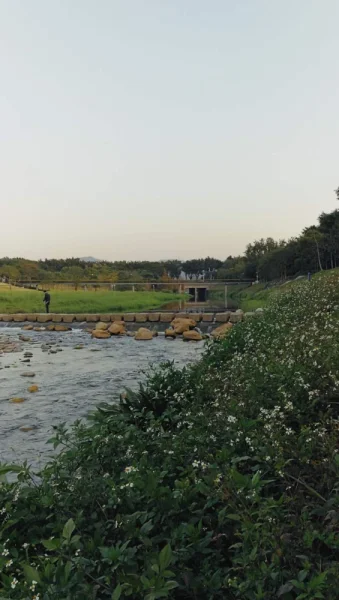 居然是第一次走的福田河绿道