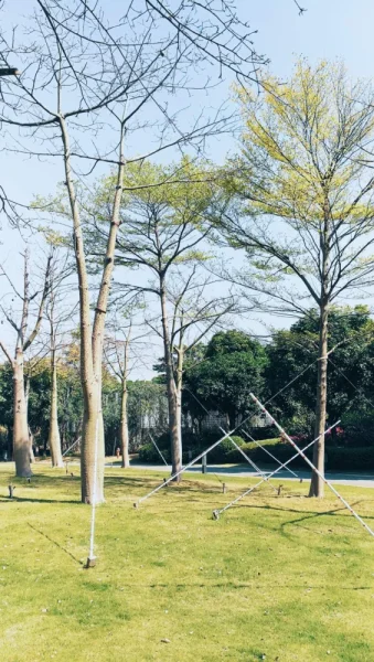 以后的回忆里，我大概只能说，那是一段天气很好的日子