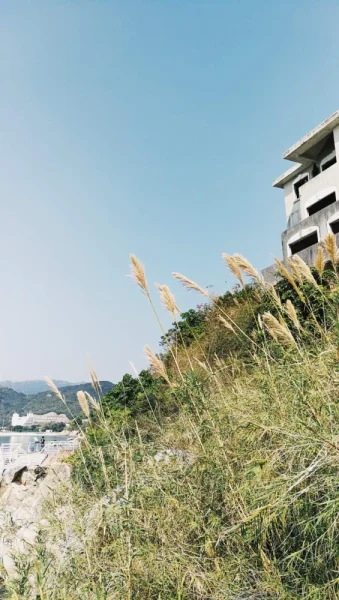 海边一座废弃的房子