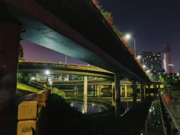 洪湖公园，第一次试手机拍夜景