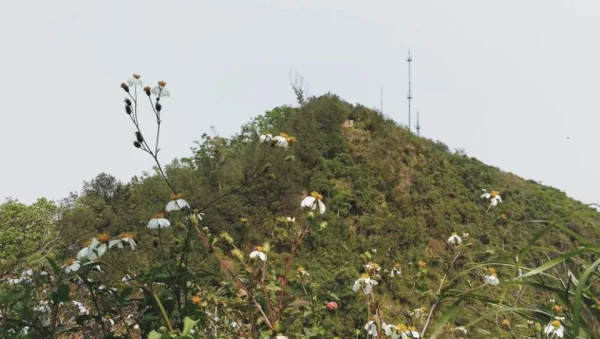 算是第一次爬塘朗山，对面是最高峰，大概430米