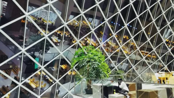 深圳图书馆，选择多了以后也没那么有意思了