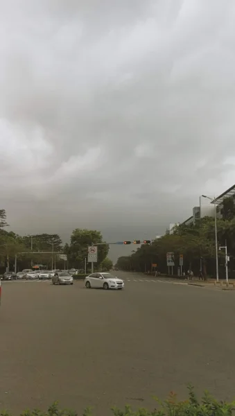 坂田稼先路口。不再年轻的青年节是这个颜色