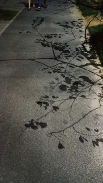 杨美环城东路。夜聊，穿越忧郁的飞行