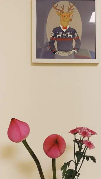 一年又一年