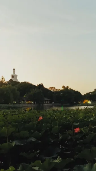 天黑前的北海公园，还有一丝夏天的感觉。