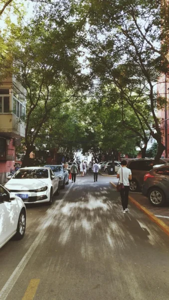 小区的早晨，阳光斜斜的射下来，竟有一种神奇的PS效果