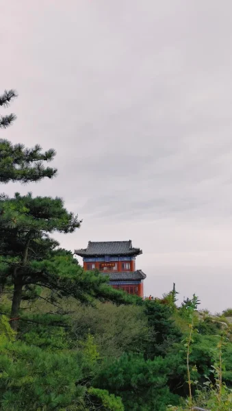 泰山顶。很多人，很多台阶，很多石刻，很多庙