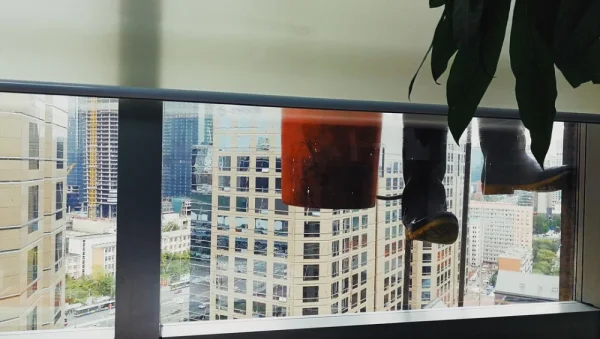 第一次这个角度看清洁写字楼的蜘蛛人