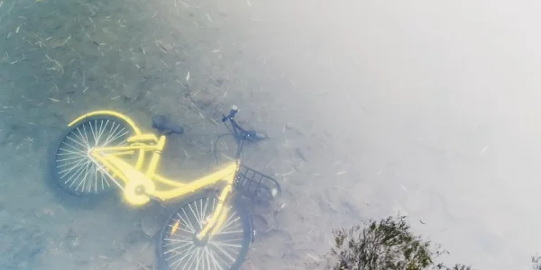 被丢进什刹海的小黄车，愤怒