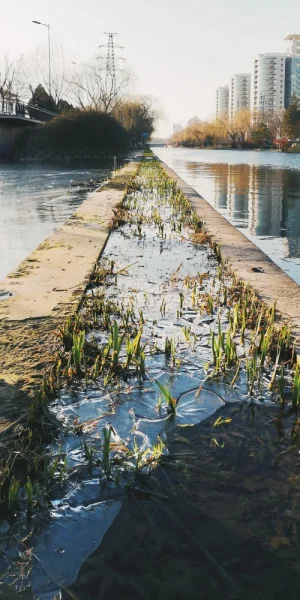 是冬，也有秋的感觉