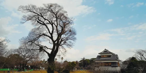 一年的最后一天随便的走走，又随处可以入景，感觉还挺幸福的