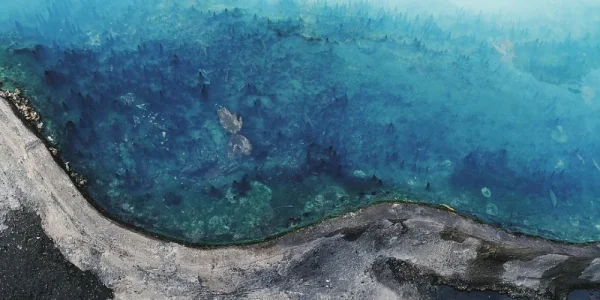 别府地狱巡游。有点像九寨沟的水，不过是99°滚烫的