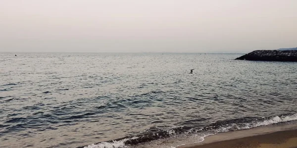 别府的海边，每次都是一次救赎。从别府地狱巡游的山坡上回来，特地提前几站下的巴士，可能因为风很大，太阳也快下山了，海边基本上没有人，一路上只遇到几个中学生样子的男生，在海边写字，写的都是很淳朴的HAPPY NEW YEAR，以前在函馆的海边也写过很多，只是现在却什么都写不出来了。这些年看过很多的海都是这样，无人，却让人迷恋