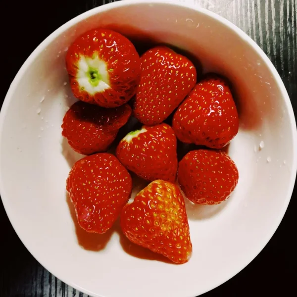生活也是乏味到了极点