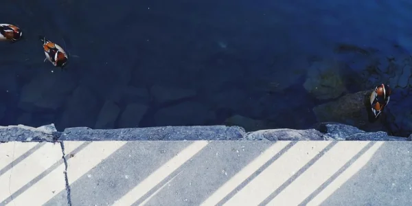 北海公园。就是这么美的冬天
