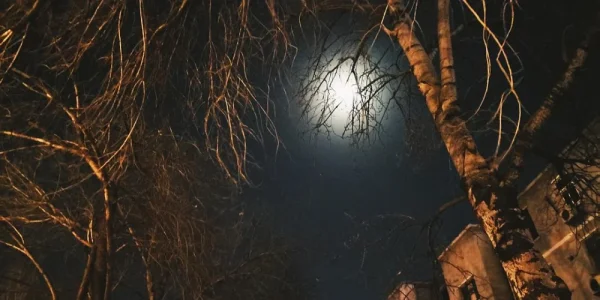 明月夜