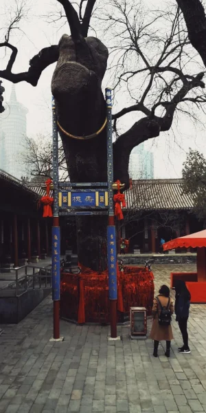 北京民俗博物馆，其实是一个道家的寺庙