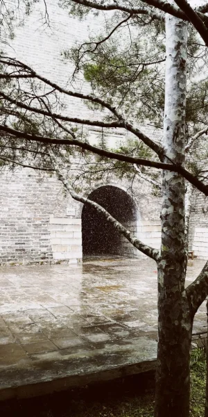 刚进来雪还下的不够大