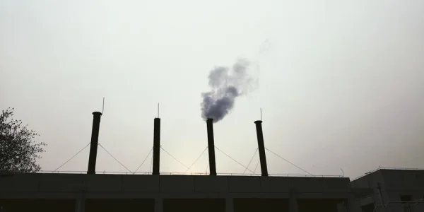 北京中医药大学。还是很北方的感觉