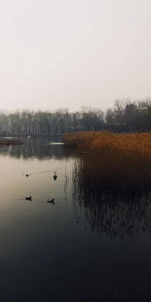 农展馆后面的湖，雾霾中居然有一些江南烟雨的意味。