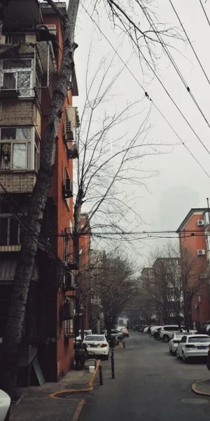中国尊呢？