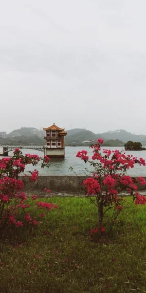 才一年之后的深圳水库