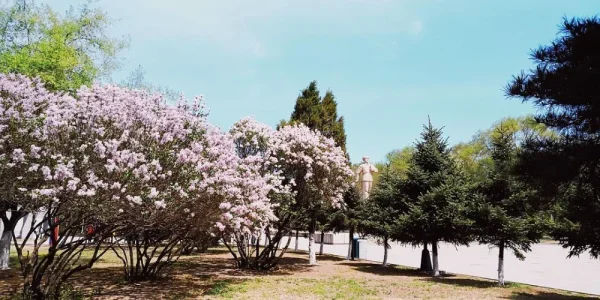 抚顺雷锋公园。上一次这个季节回来已经是十年前