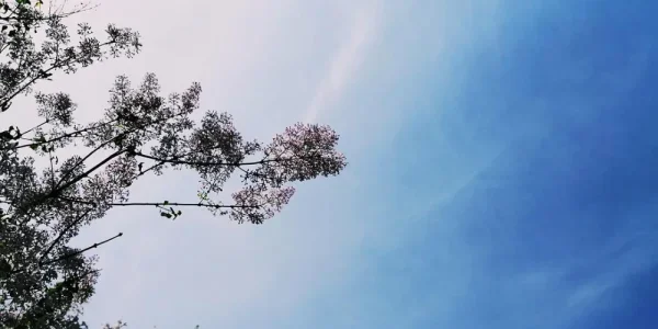 天也是蓝