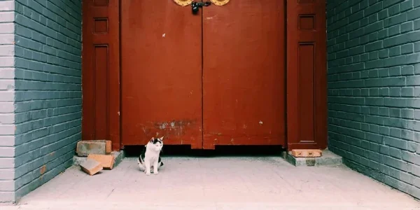 西总部胡同
