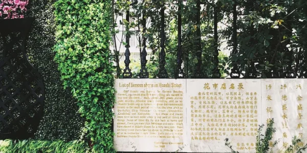 花市大街，培训正午的城中闲逛，顶着36度高温