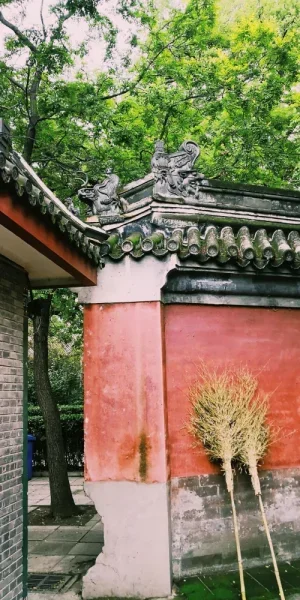 报国寺。原来还有这样的地方