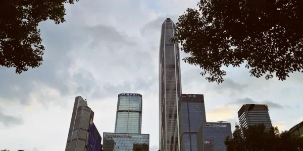 深圳，快两个月没回来了