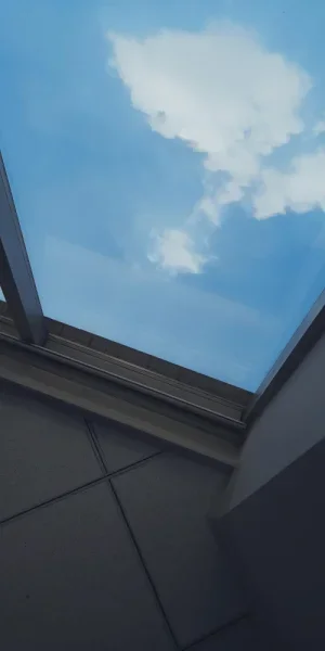 偶尔在公司的午睡，看到的天是这样的