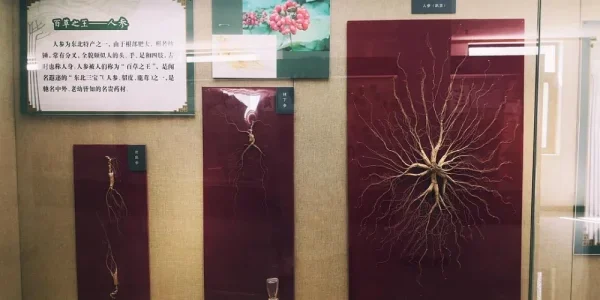 北京植物园里的科普馆