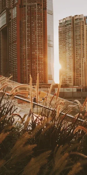 香港西九龙高铁站。已经到了一看到夕阳就想哭的年纪