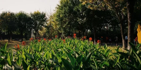 南海子公园。跟想象中不一样，实际上是一处非常破烂的地方，跟园博园有一拼，找了半天麋鹿苑也没找到